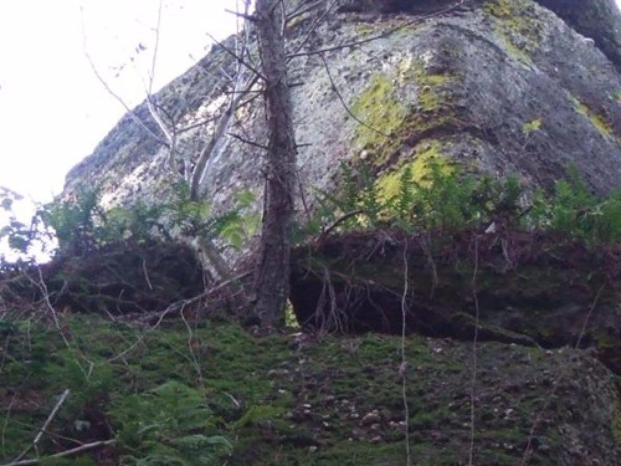 Auberge D'Hotes L'Instant Le Hohwald Eksteriør billede