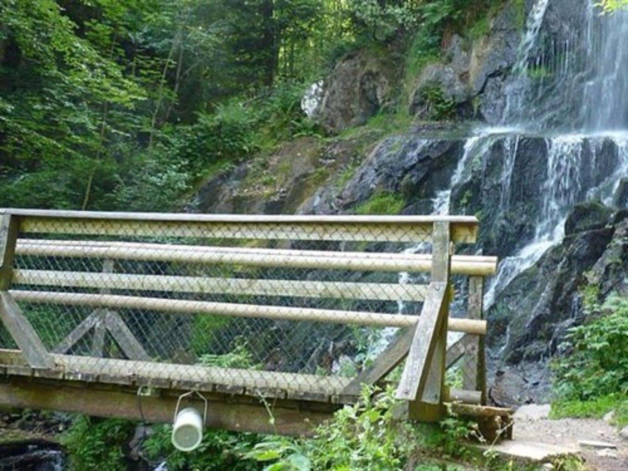 Auberge D'Hotes L'Instant Le Hohwald Eksteriør billede